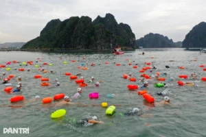 Lịch thi đấu Quang Tri International Marathon - Camel Cup, Aqua Warriors